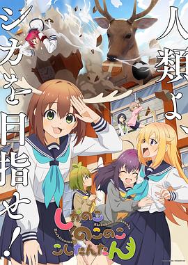 恋爱部屋